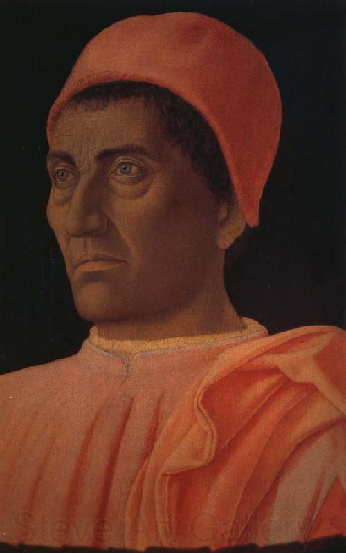 Andrea Mantegna Medici portrait Norge oil painting art
